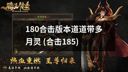180合击版本道道带多月灵 (合击185)