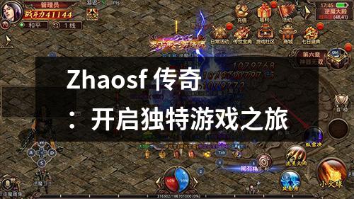 Zhaosf 传奇：开启独特游戏之旅