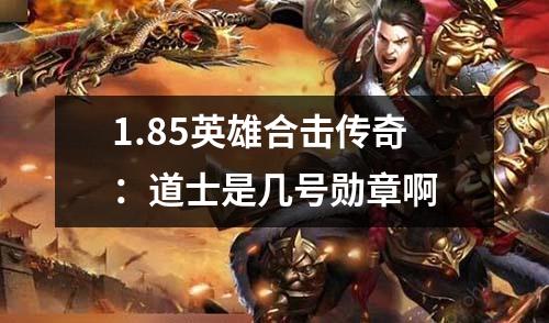 1.85英雄合击传奇：道士是几号勋章啊
