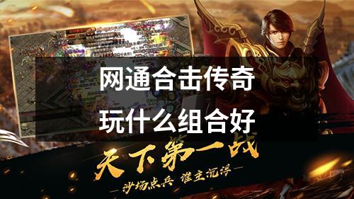 网通合击传奇玩什么组合好