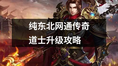 纯东北网通传奇道士升级攻略