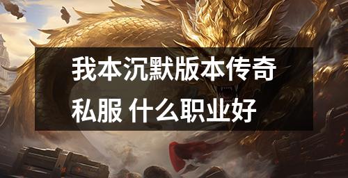 我本沉默版本传奇私服 什么职业好